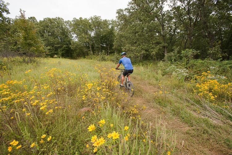 cyclist on trail