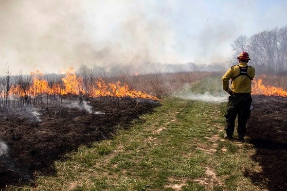 prescribed burn