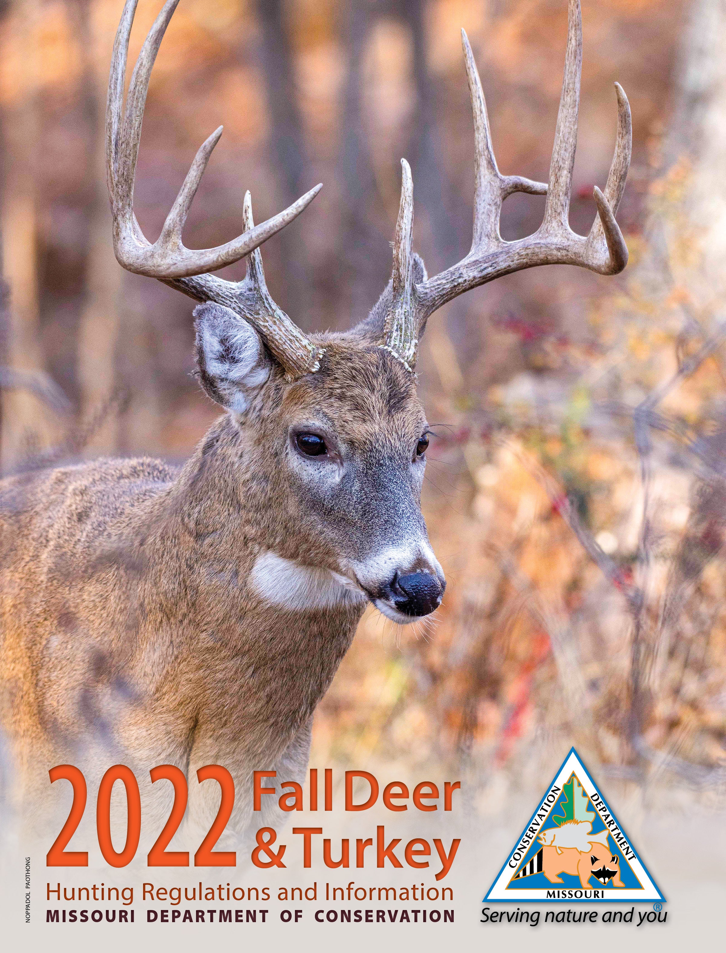 deer booklet cover