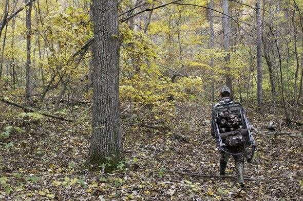 Deer hunter walks through woods