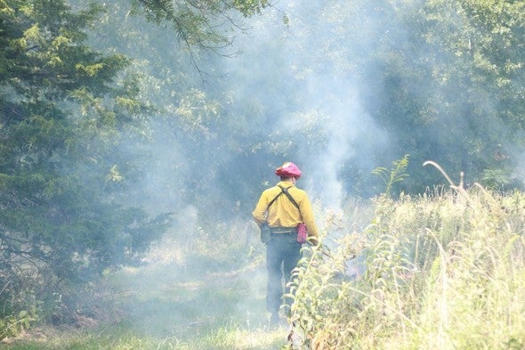 Man conducts prescribed burn
