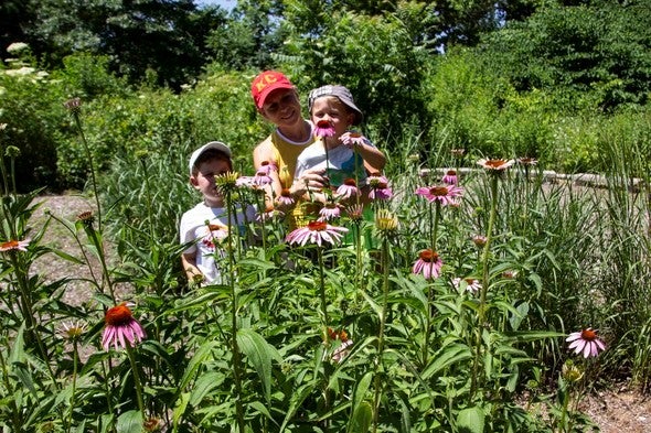 family in flowers