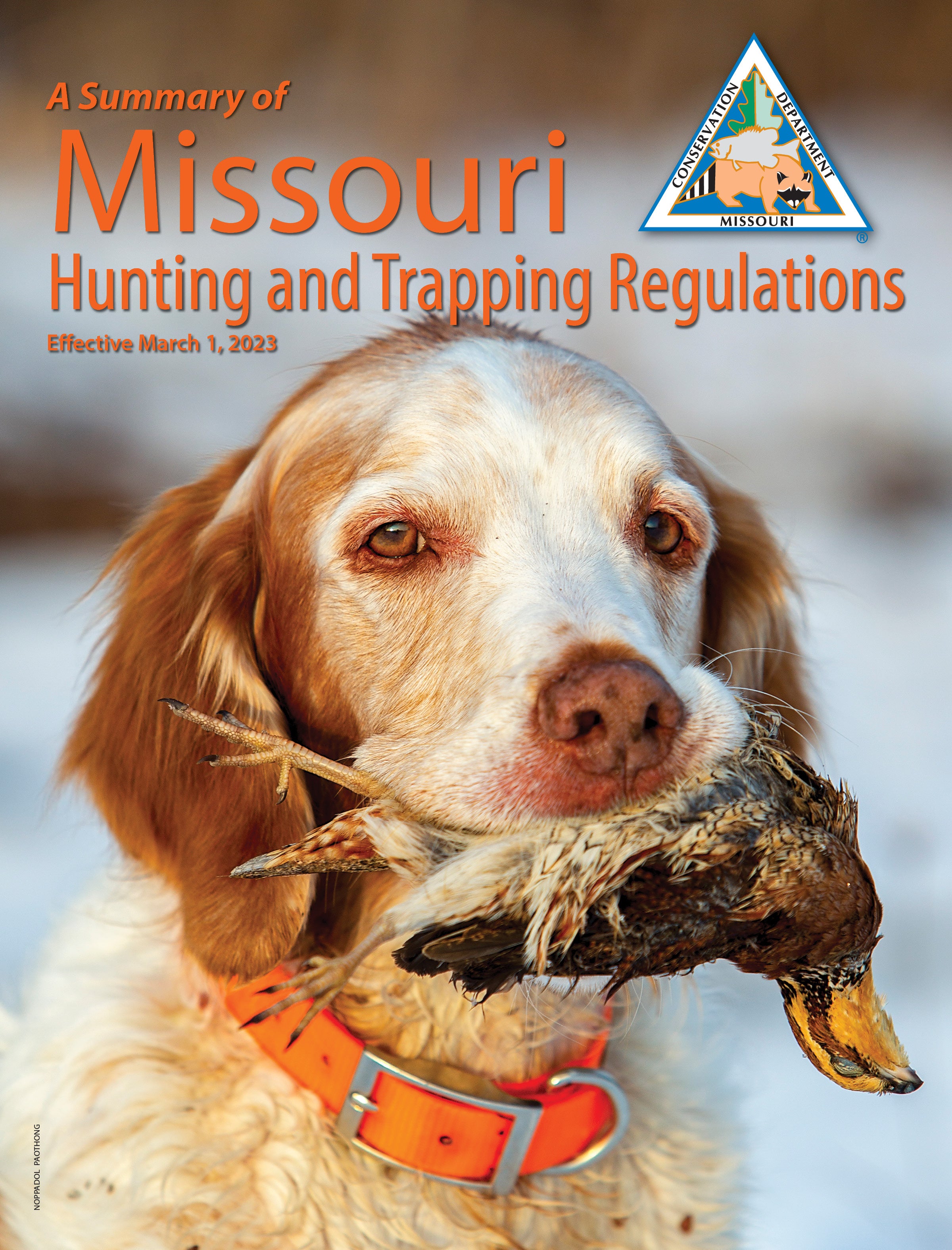 Hunting and Trapping Regulations cover with a dog holding a bird in its mouth. Good dog.