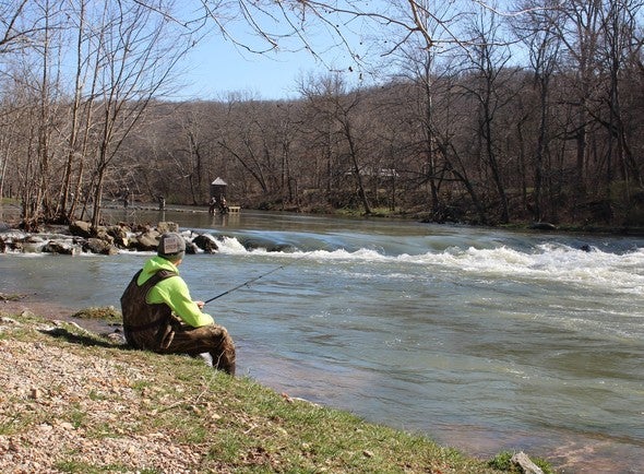 An angler fishes at Bennett Spring's Holland Dam