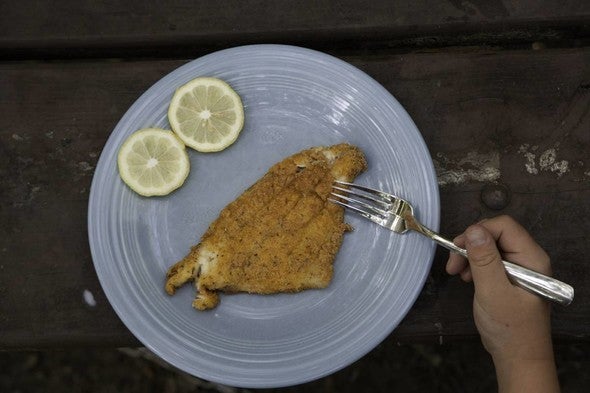 Fried fish filet on plate with lemon slices