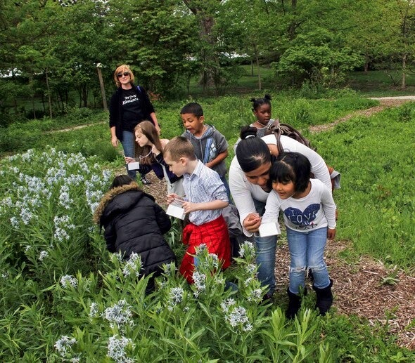 international City Nature Challenge 