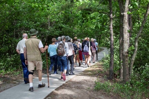 Nature walk