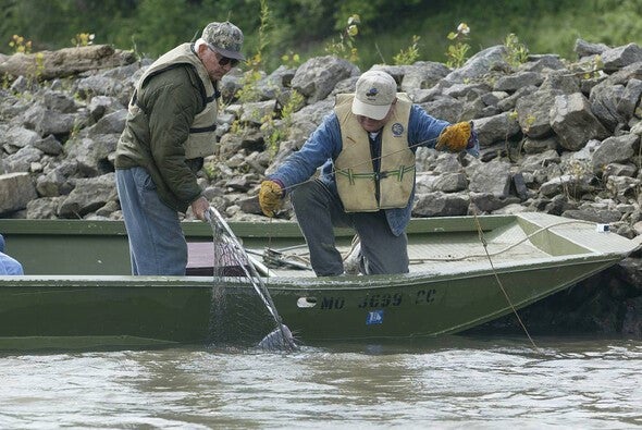 MDC offers free trotline clinic June 8-9 at Truman Lake