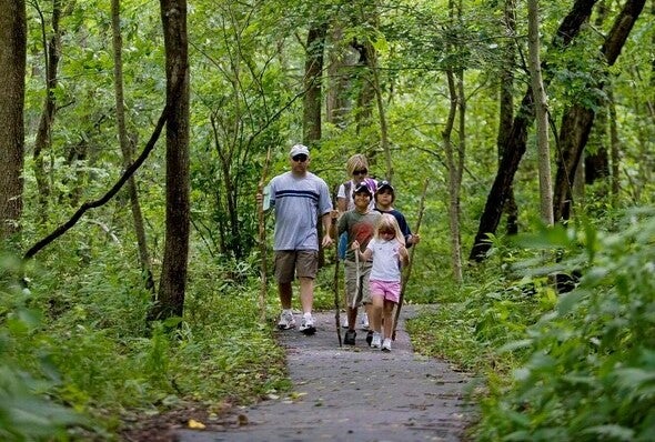 family walk in woods