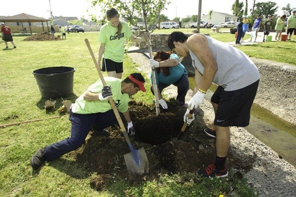 People planting a tree