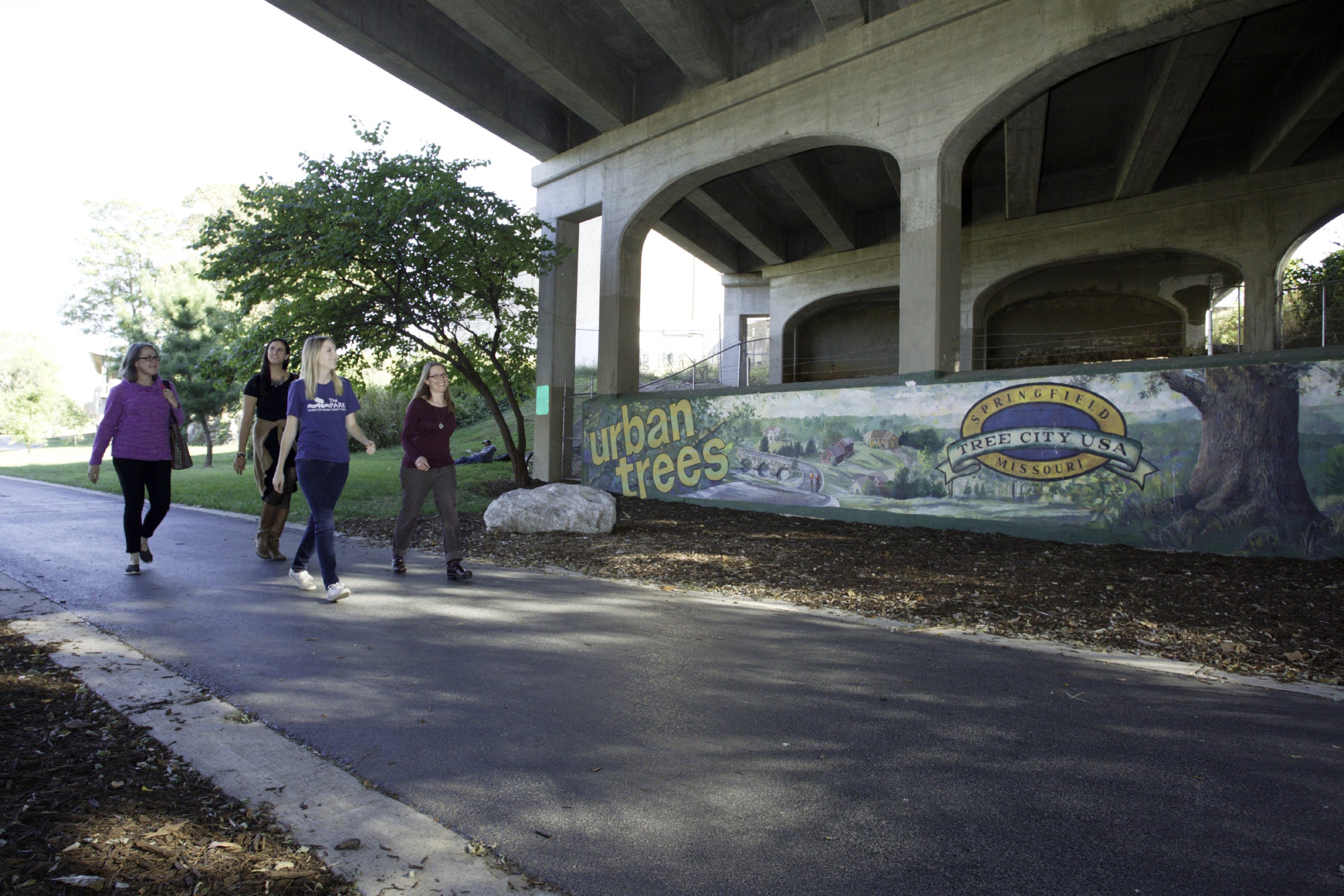 overpass in Springfield 