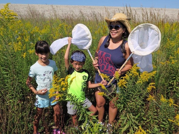 Family catching butterflies in wildflower field