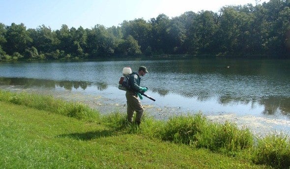 pond management