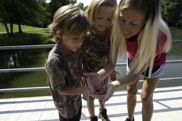 Family holds insect?