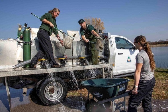 MDC staff stock trout from a truck
