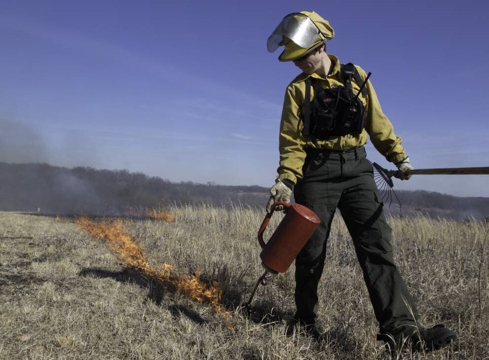 Staff igniting prescribed fire in field