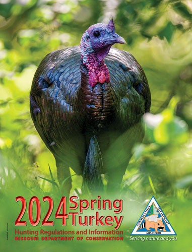 Spring Turkey Hunting Regulations Cover