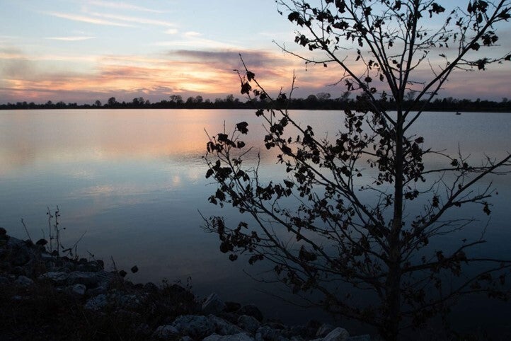 Little River Conservation Area 