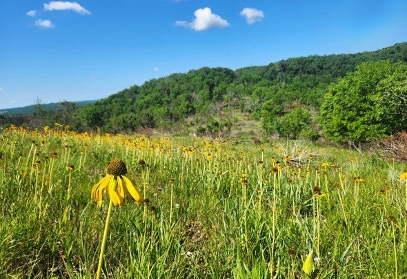 Glade Top Trail