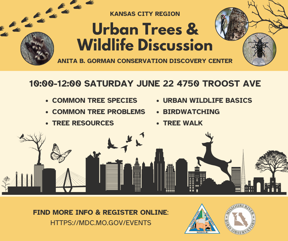 Urban Trees and Wildlife Discussion event flyer