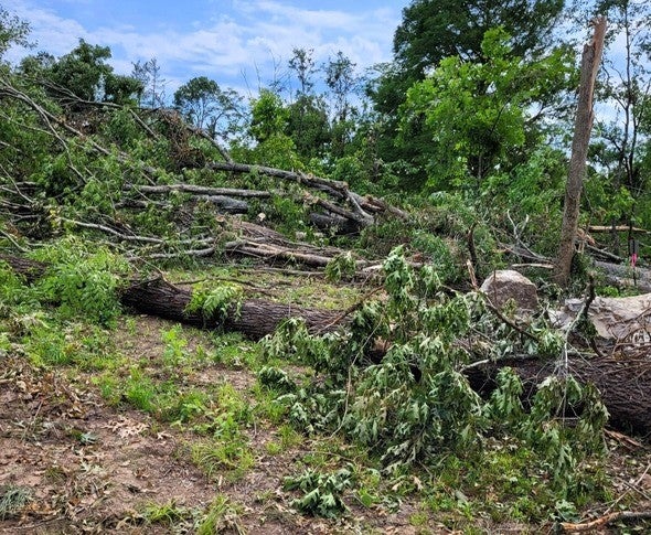 Storm debris at Myrtle Access