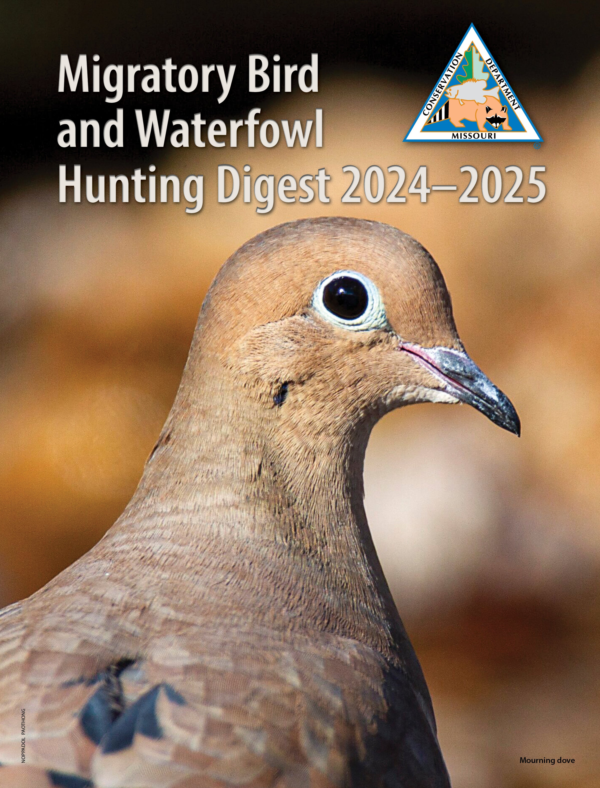 dove cover