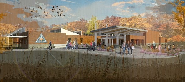 Anita B. Gorman site renovations mockup
