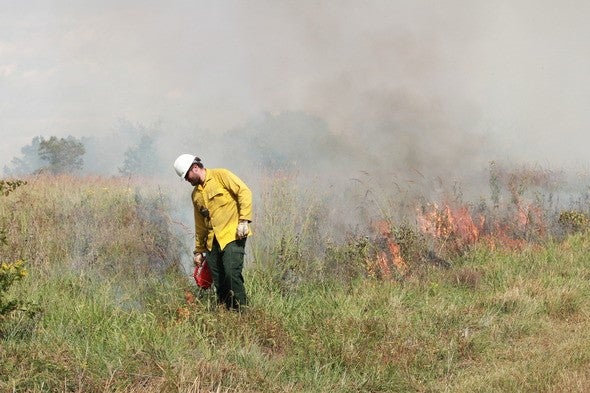 Prescribed burning 