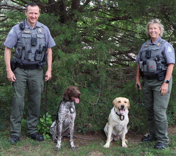 canine unit 