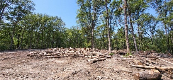 Wood cull piles at Meramec Conservation Area