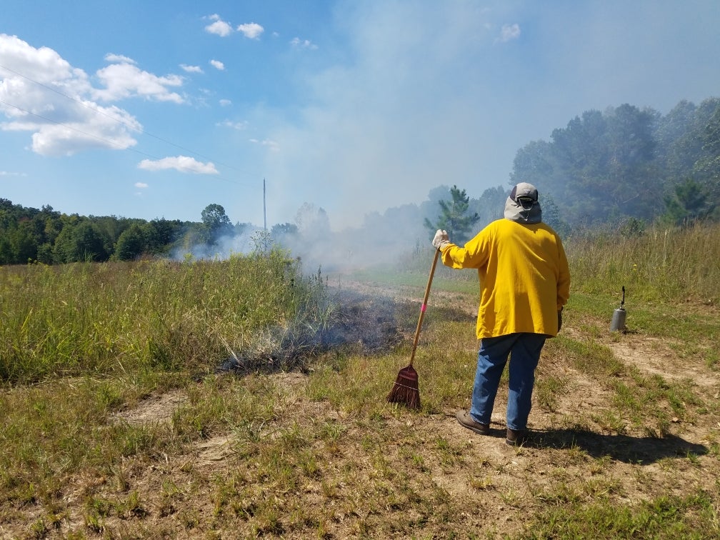 prescribed burn 