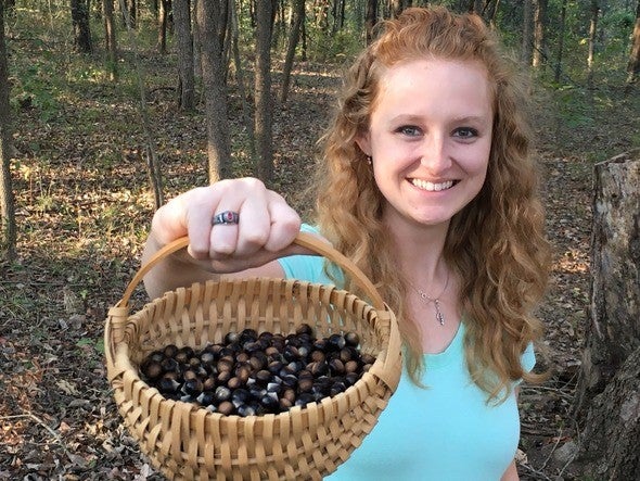 Woman holds basket full of Ozark chinquapin