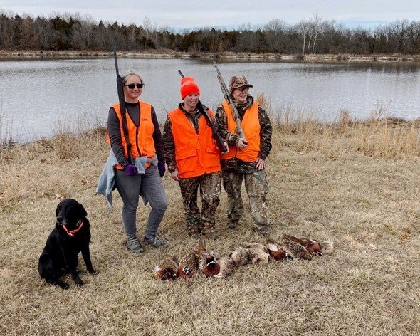 upland bird hunting 