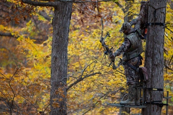 Archer in tree stand