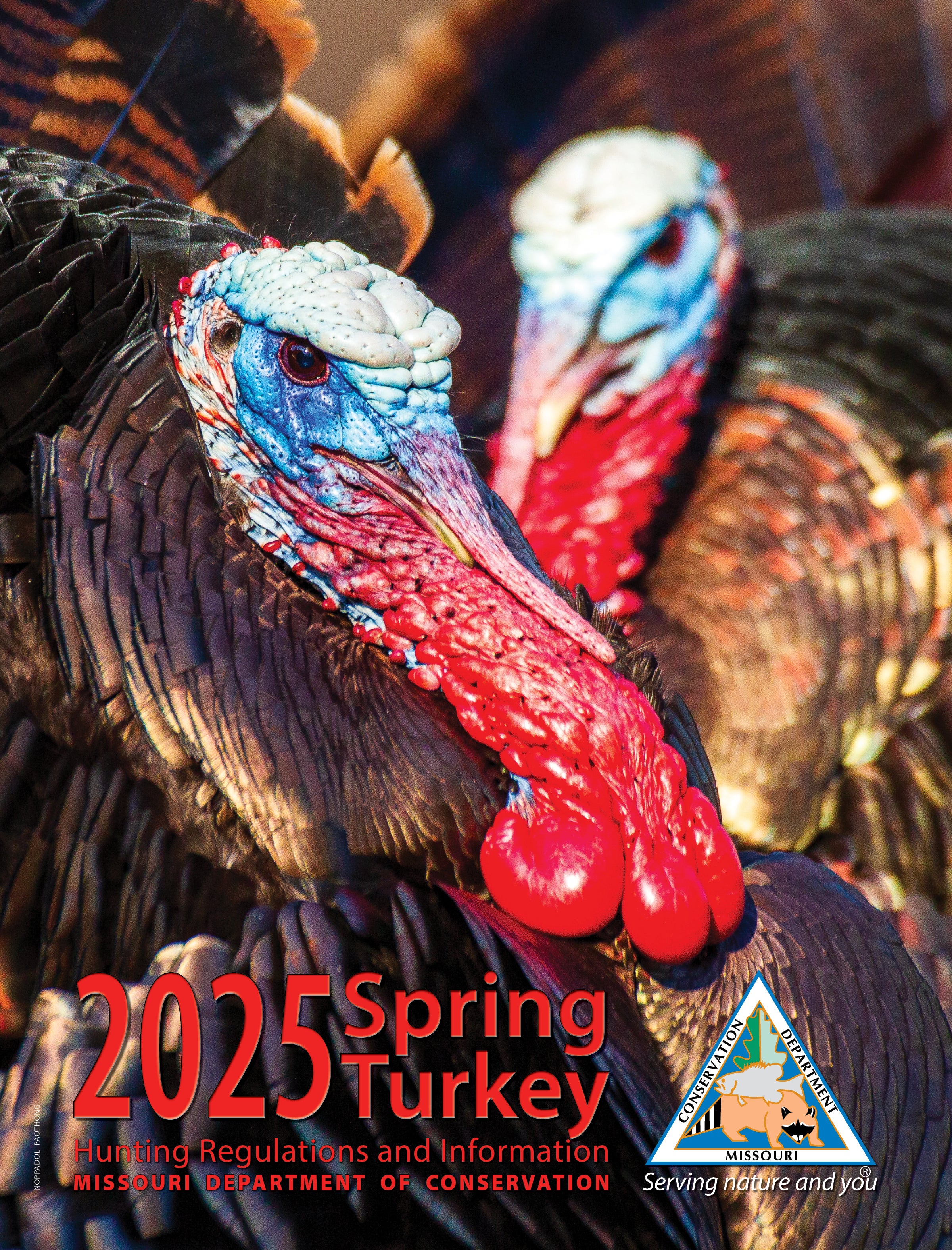 Cover of 2025 Spring Turkey Hunting Booklet