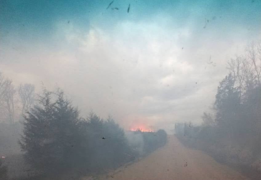 wildfire