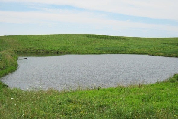 Pond