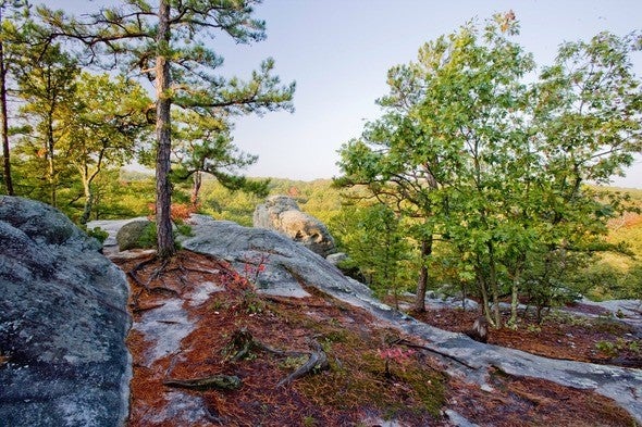 Pickle Springs
