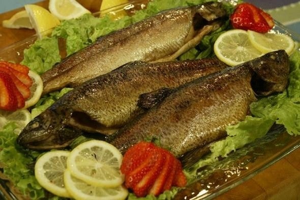 trout recipe
