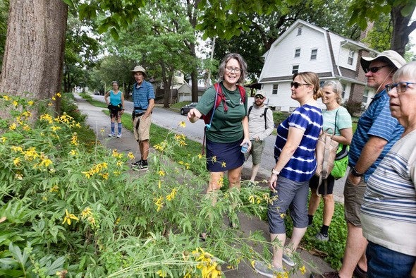 Urban hikes