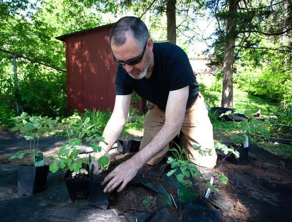landscaping with native plants 