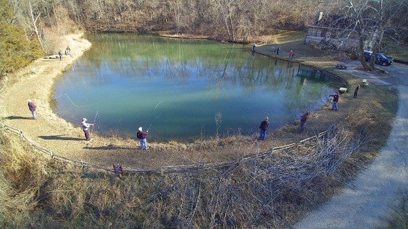 Pond fishing for bluegill