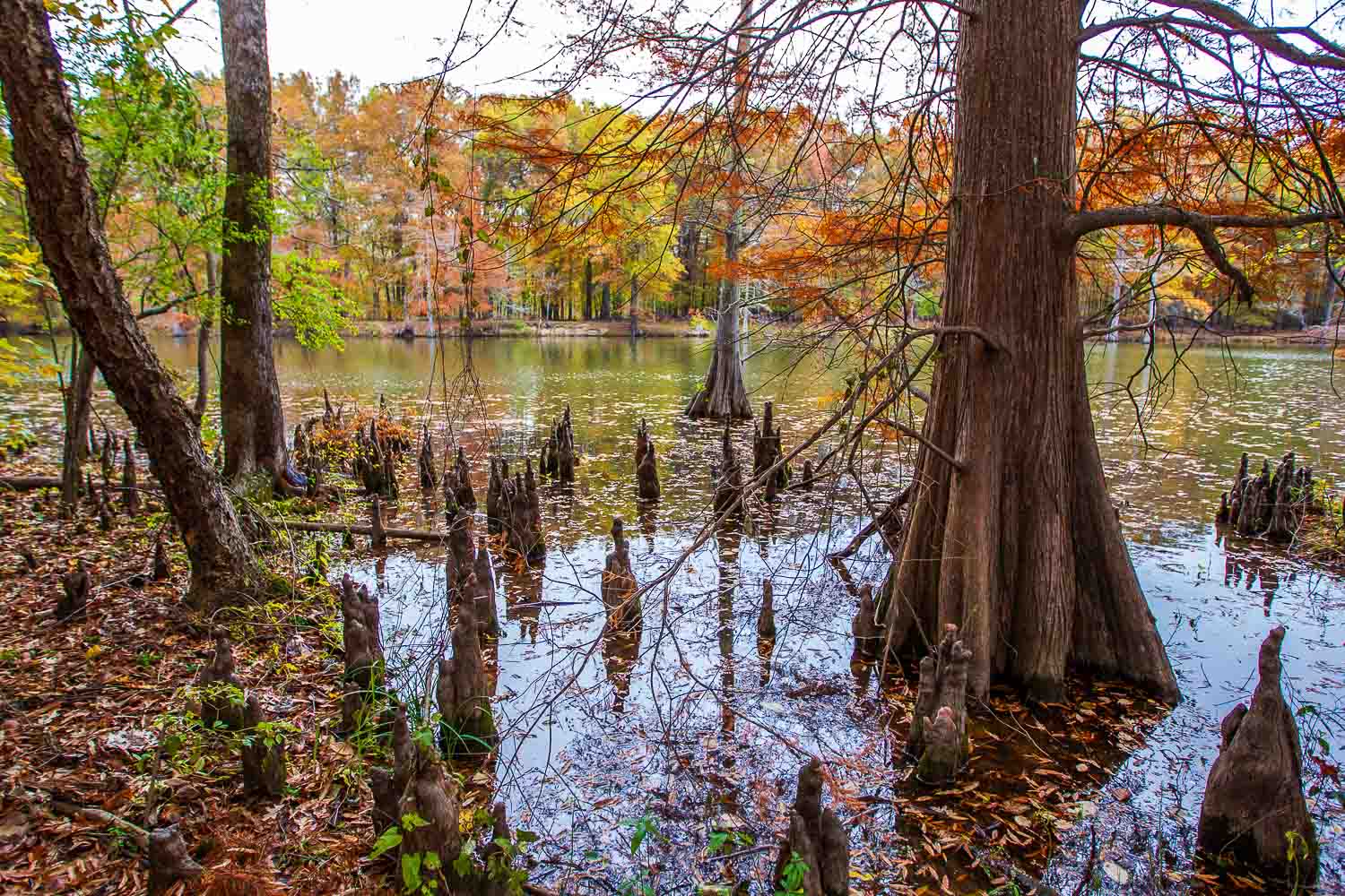 Mingo National Wildlife Refuge