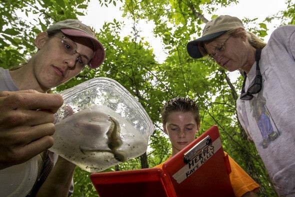 Citizen scientists look at macroinvertebrates