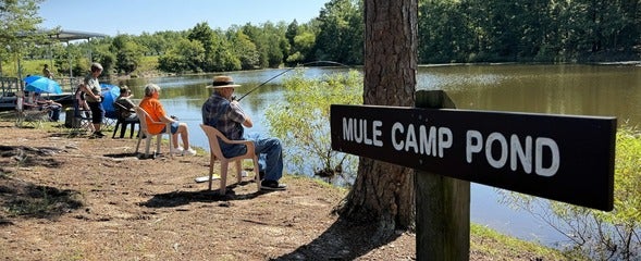Twin Pines pond