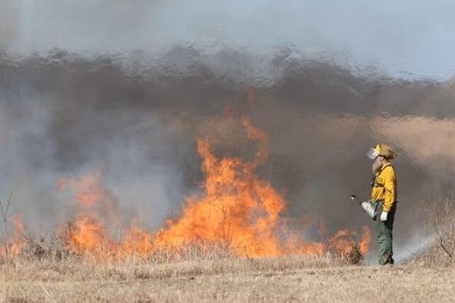 prescribed burn