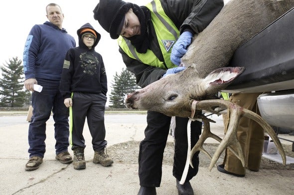 cwd sampling