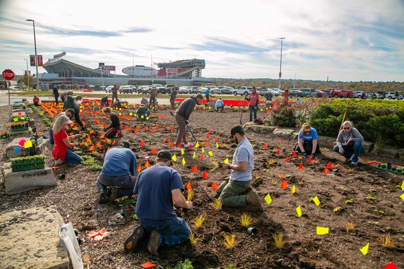installing native plants at the Truman Sports Complex