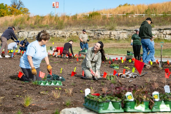 installing native plants at the Truman Sports Complex 4