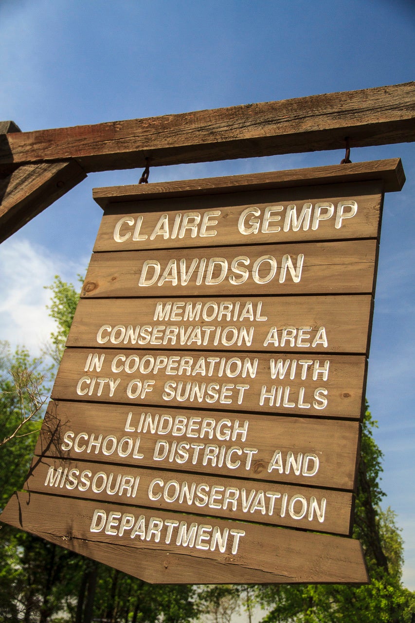 Claire Gempp Davidson Memorial Conservation Area